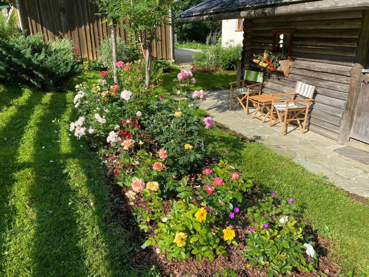 Oberleiten Apartments Wagrain Dış mekan fotoğraf