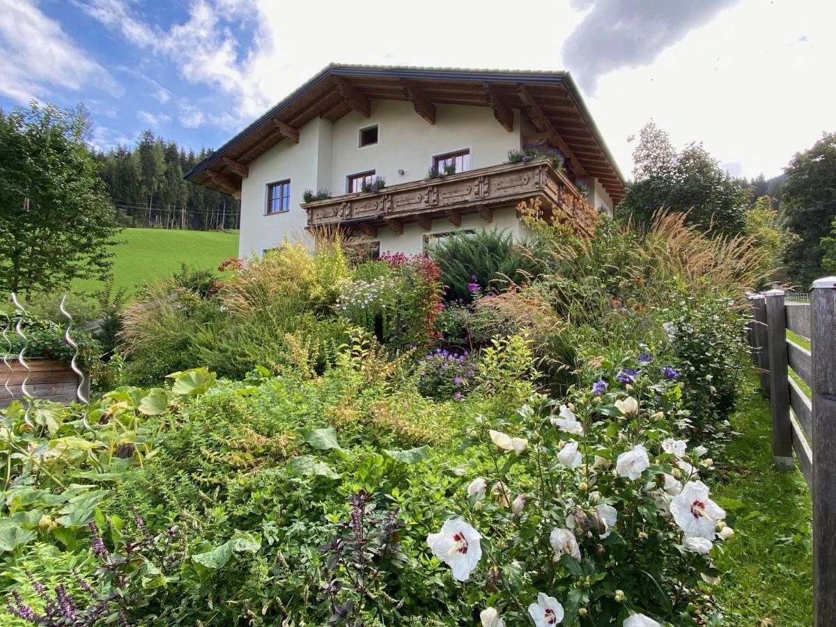 Oberleiten Apartments Wagrain Dış mekan fotoğraf
